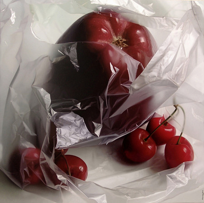 Настройка для хранения свежести для бытовых продуктов питания жилет типа холодильника в ровном ролике